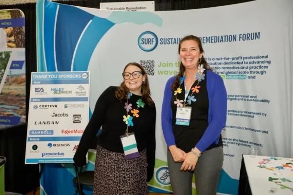 2025_AEHS41st_InternationalConference_194